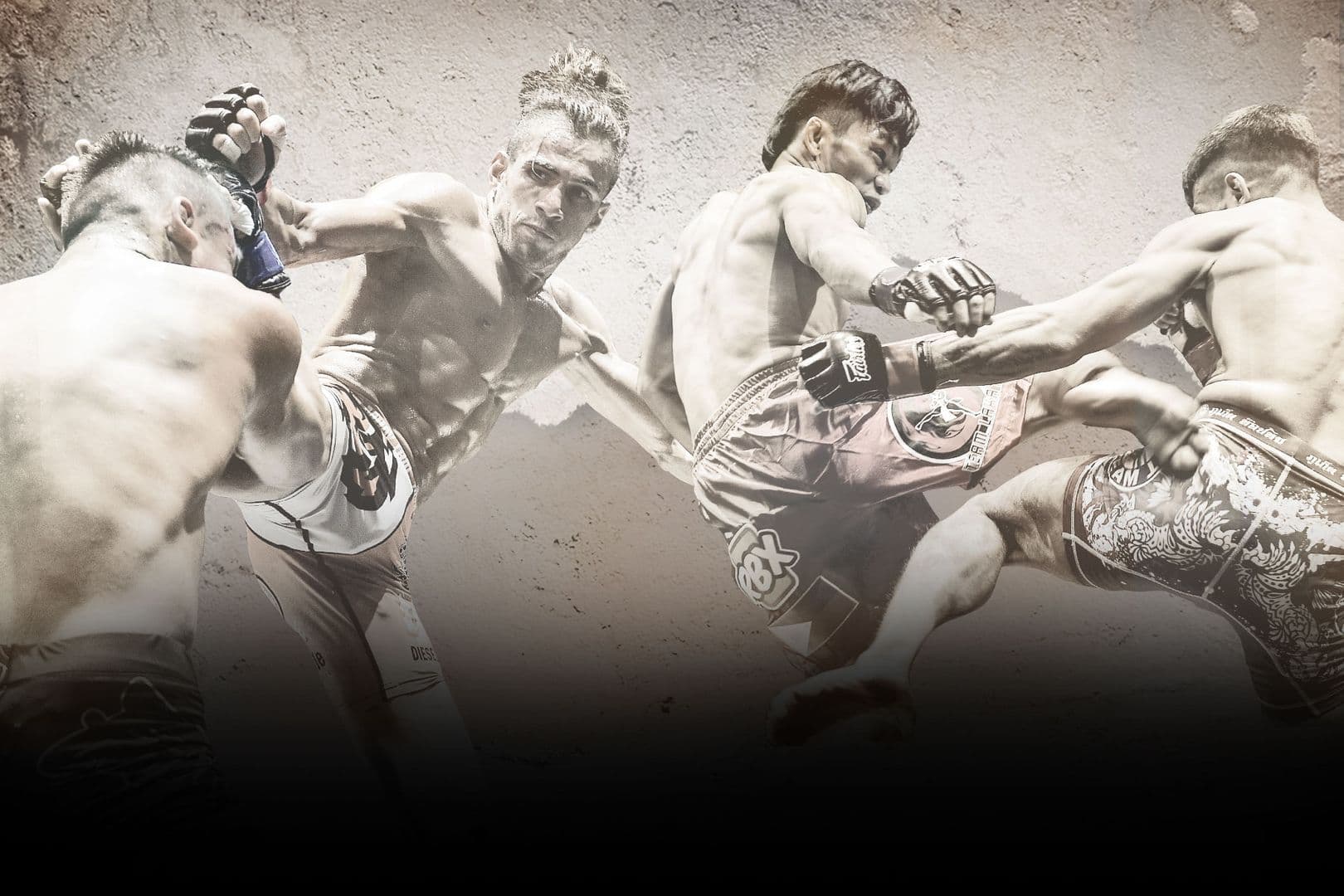 ONE Warrior Series 5 event poster