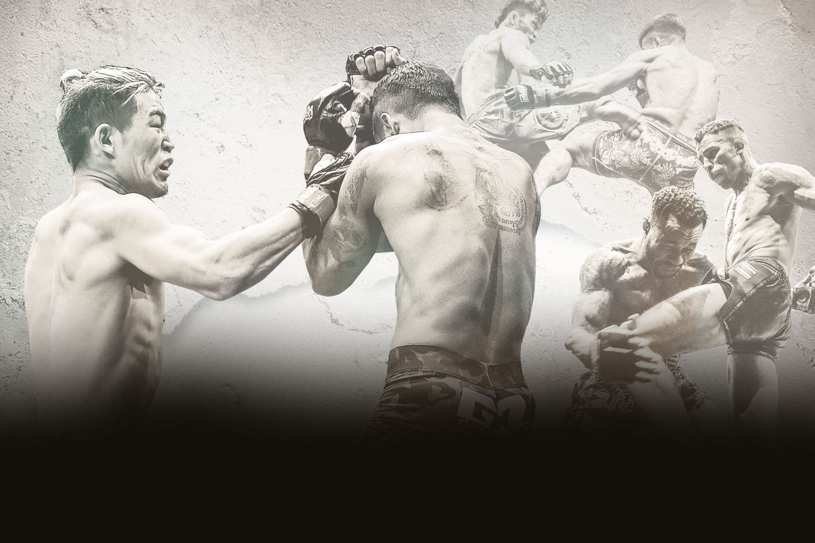 ONE Warrior Series 6 event poster