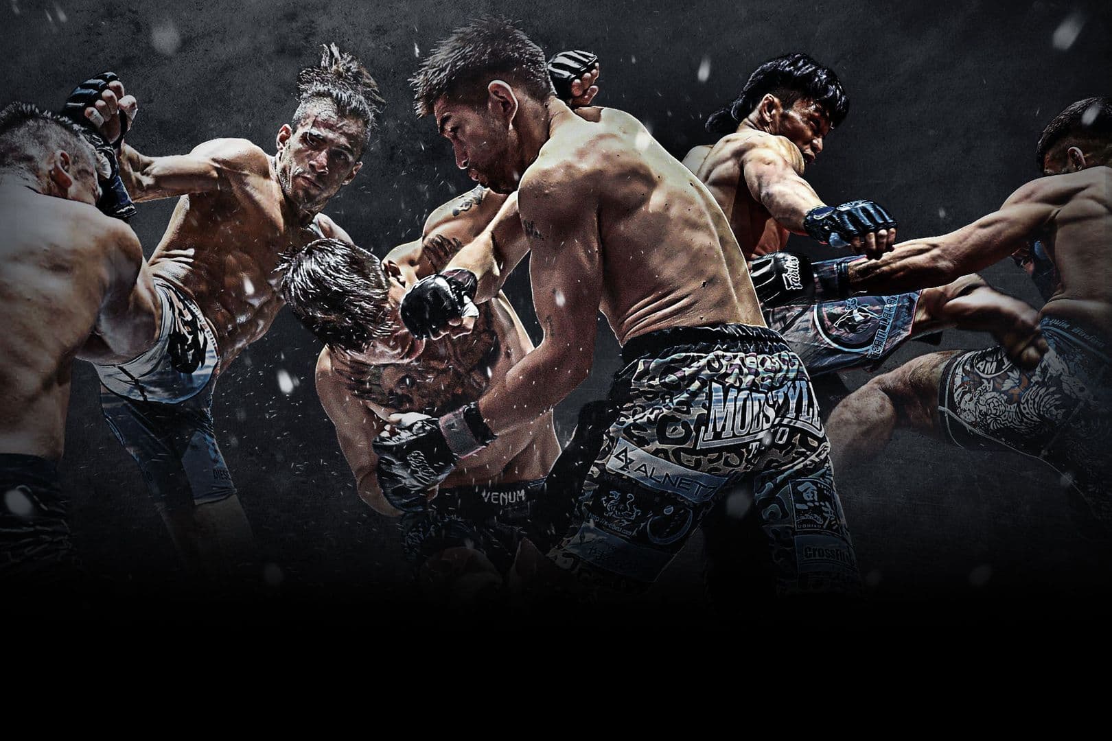 ONE Warrior Series 7 event poster