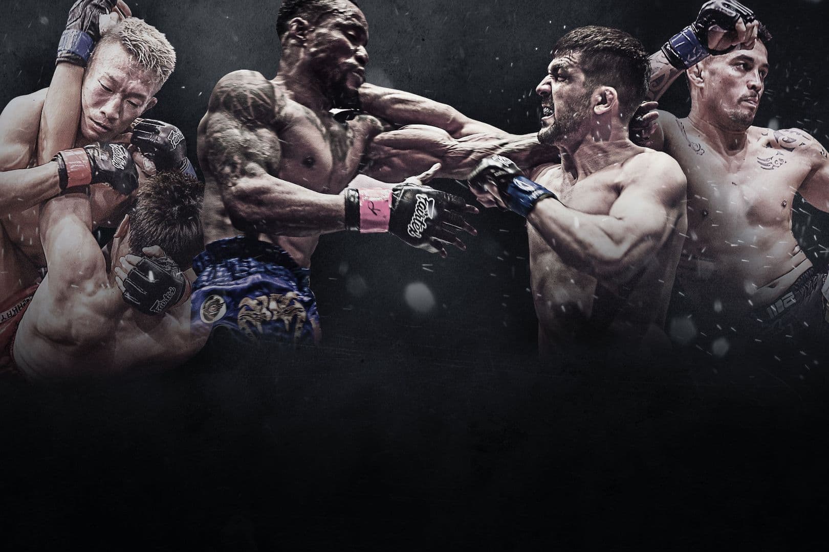 ONE Warrior Series 10 event poster