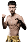 Xie Lei