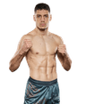 Nikola Todorovic
