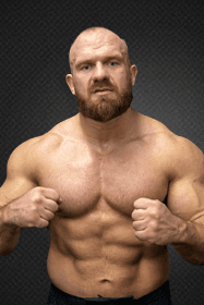 Vytautas Medineckas Ironvytas